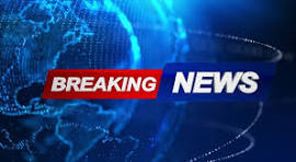 Image sans description